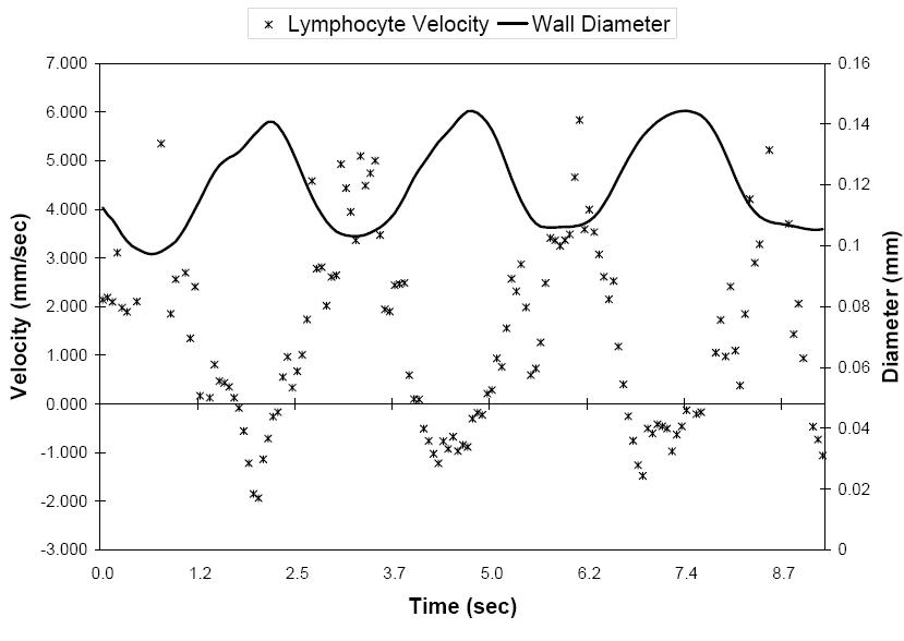 Lymph velocity-diameter measurements