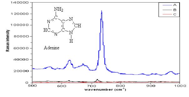SERS spectra adenine nanofluidic biosensor